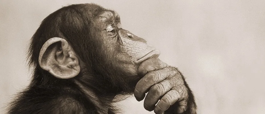 Troubles de concentration : causes et solutions naturelles